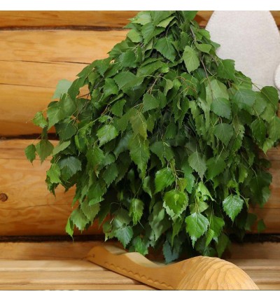 Sauna Whisks Guide: How to Choose Birch, Linden or Oak