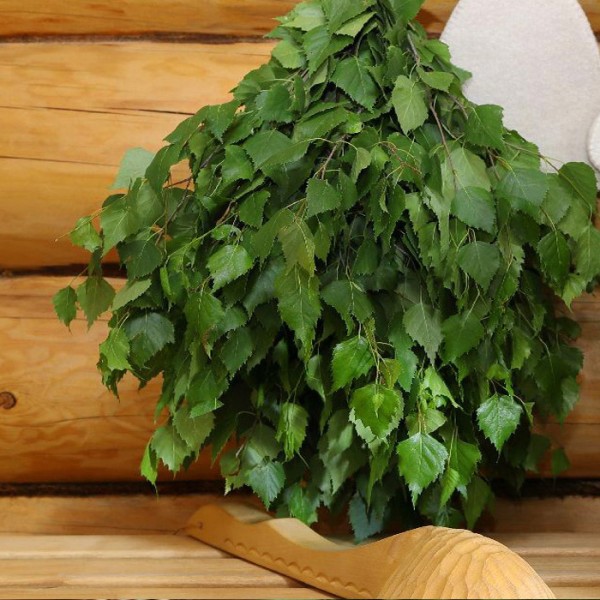 Sauna Whisks Guide: How to Choose Birch, Linden or Oak