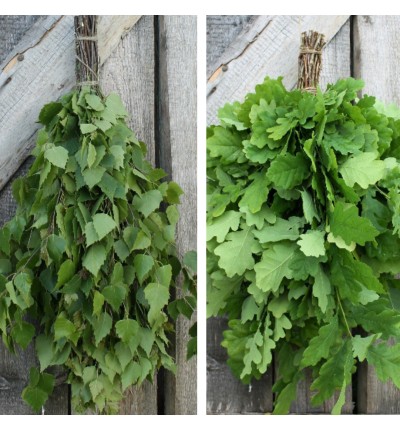 Oak vs Birch: When Oak Is the Better Choice (and When It Isn’t)