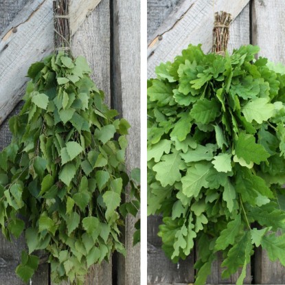Oak vs Birch: When Oak Is the Better Choice (and When It Isn’t)