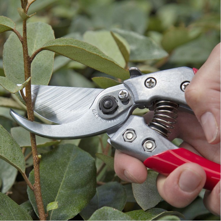 ARS VS-9XZ garden shears