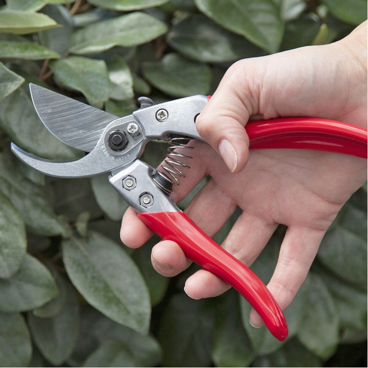 ARS VS-7XZ garden shears for smaller hands
