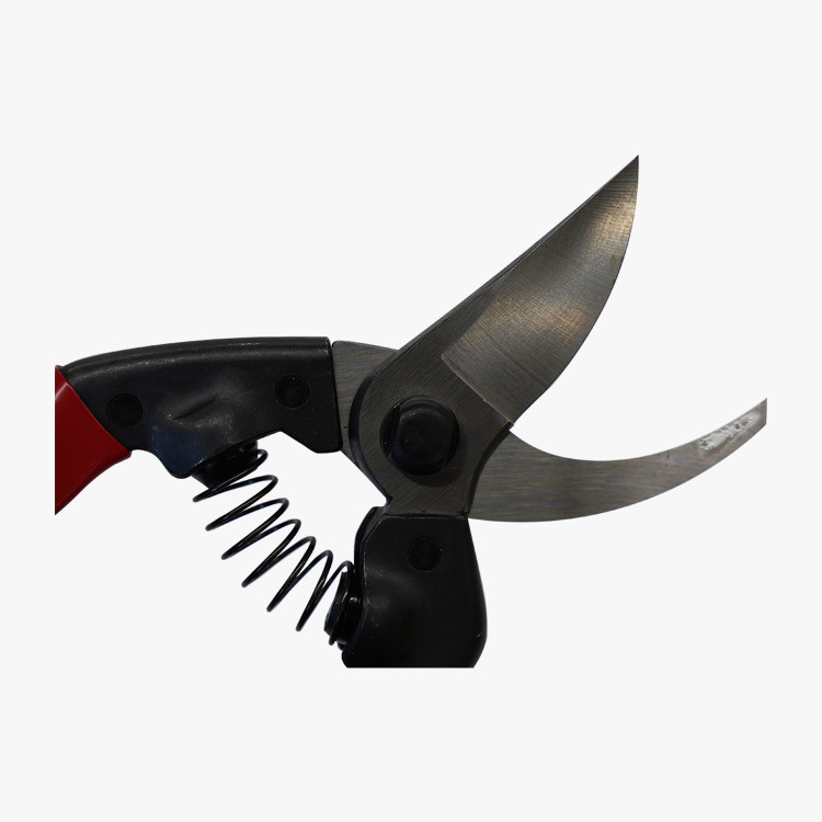 ASAKA ELEPHANT pruning shears 210 PRO