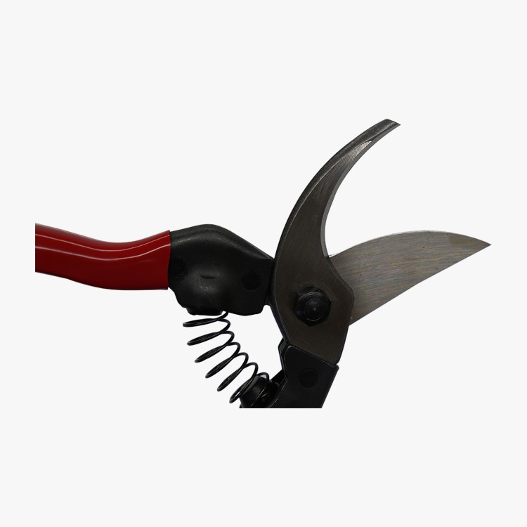 ASAKA ELEPHANT pruning shears 210 PRO