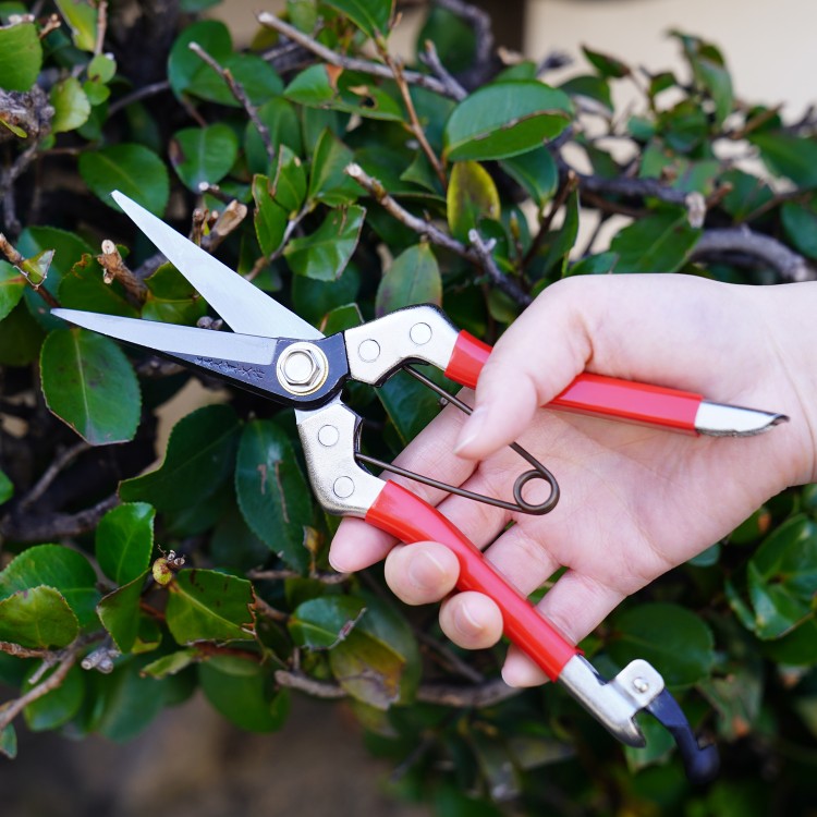 Bonsai scissors GARD