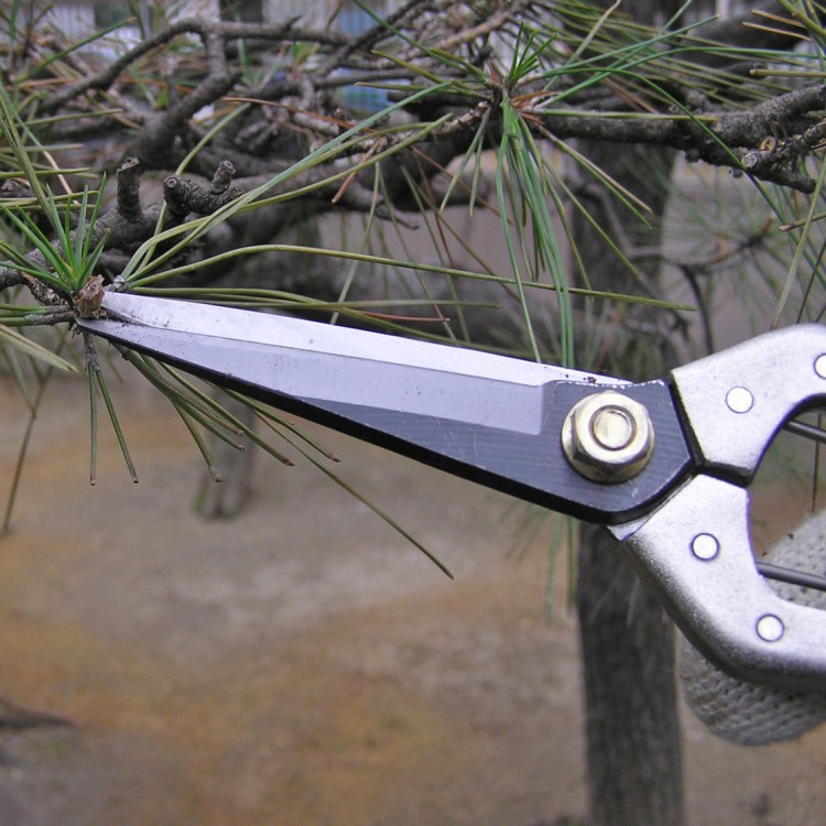 Bonsai scissors GARD