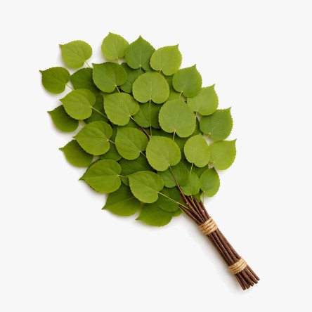 Linden Sauna Whisks