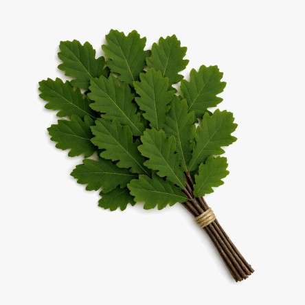Oak Sauna Whisks